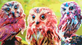 2015 gallery of Paintings by Donald Rizzo Gay Abstract Art Gay Male Art